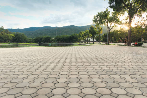 Best Best Driveway Pavers  in Ada, MN